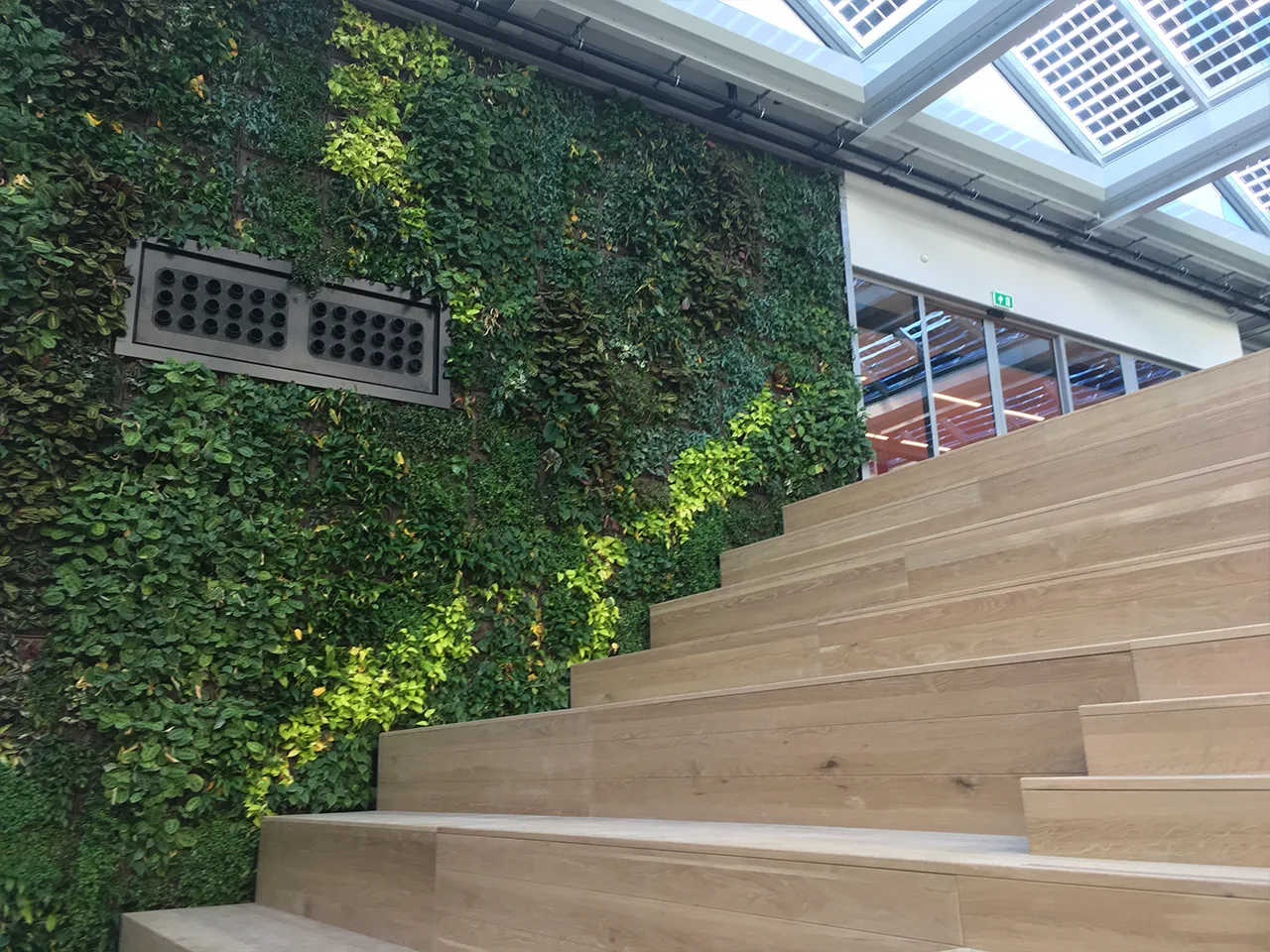 Groenwand naast een houten tribunetrap